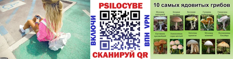 Галлюциногенные грибы прущие грибы Жуковка