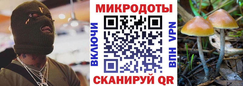 Псилоцибиновые грибы Psilocybe  Купить  Жуковка 